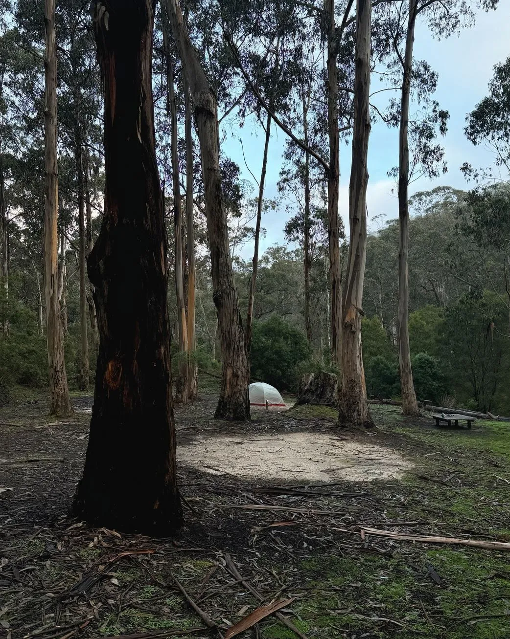 loves-lock | Best Hiking Trails on the Great Ocean Road – Ultimate Guide loves-lock | Best Hiking Trails on the Great Ocean Road – Ultimate Guide