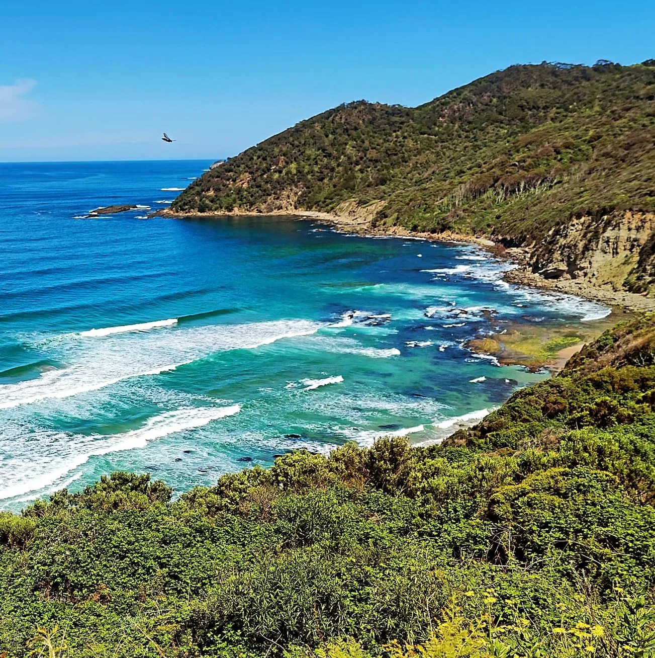 loves-lock | Best Hiking Trails on the Great Ocean Road – Ultimate Guide loves-lock | Best Hiking Trails on the Great Ocean Road – Ultimate Guide